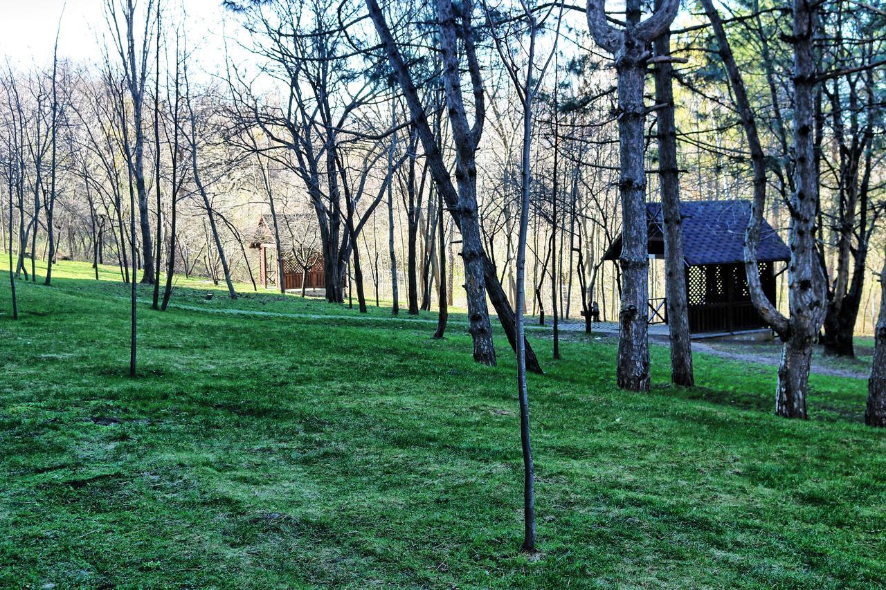 Cozy Apartment In A New Building Chişinau Exteriör bild